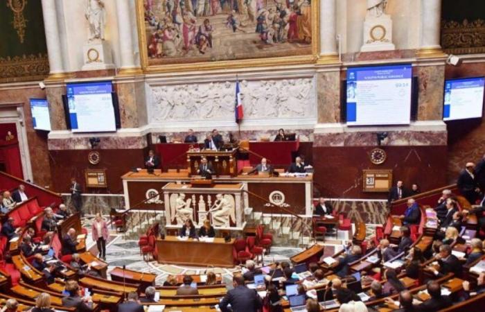 “Go ahead and get out!” : a lively exchange broke out in the National Assembly between an RN deputy and an Insoumis deputy. : News