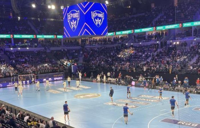 Handball: Saran travels to Angers, with the objective of raising his head