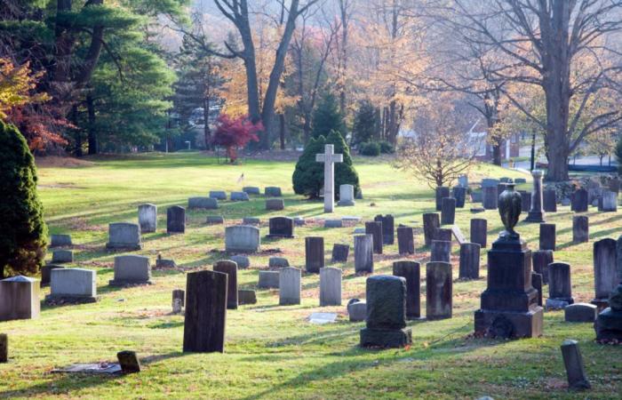 Yvelines: she goes to the cemetery to visit her father's grave, what she discovers instead upsets her