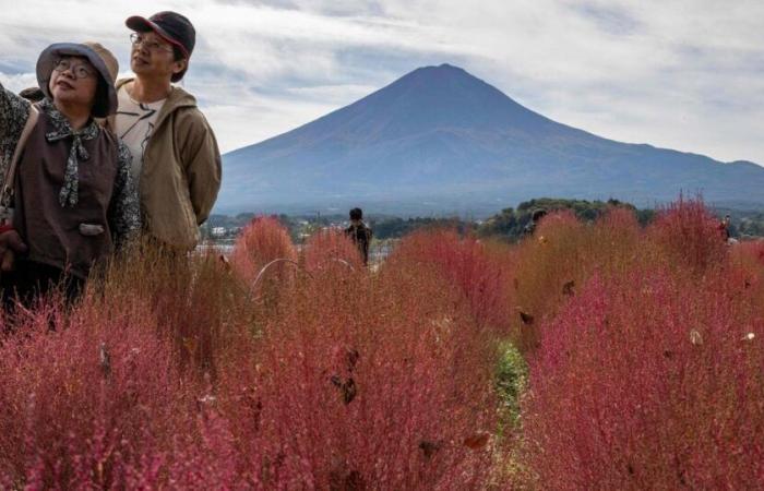 Japan. But where has Mount Fuji’s snow cover gone?