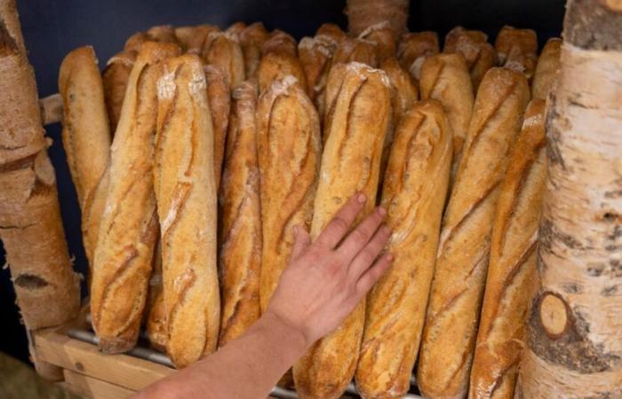 Does France still make the best bread in the world?