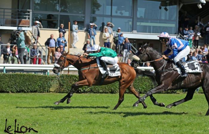 The Nantes Grand Prix meeting, a must for the racing autumn, to follow on Facebook Live from 11:40 a.m.