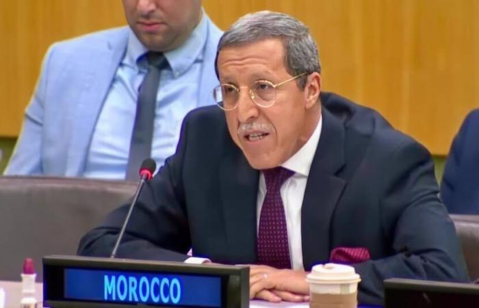 Omar Hilale comments on the distressing show of Algeria’s representative to the Security Council