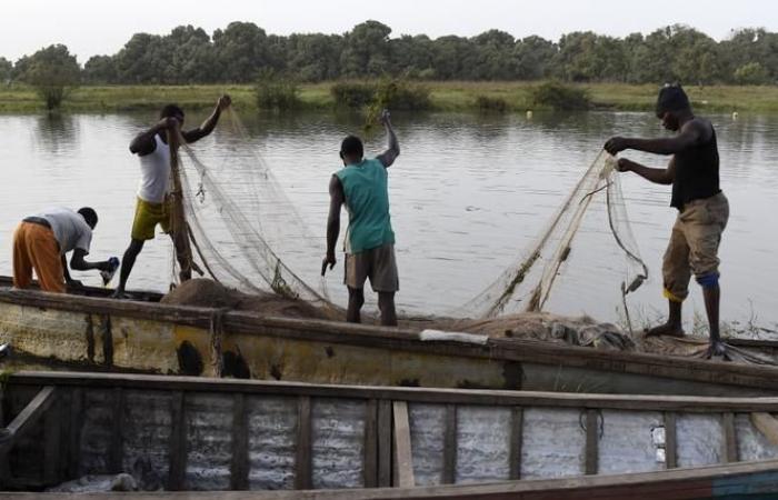 local sources accuse the Chadian army of mistakenly killing “dozens” of fishermen in Nigeria