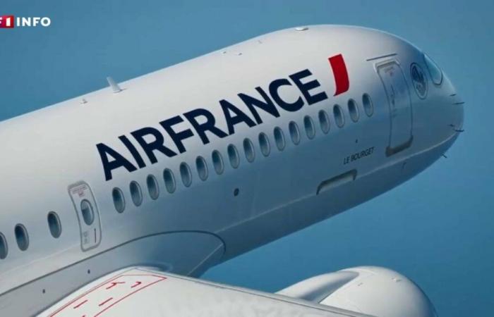 Plane tickets: Air France applies a surcharge even before the law is passed