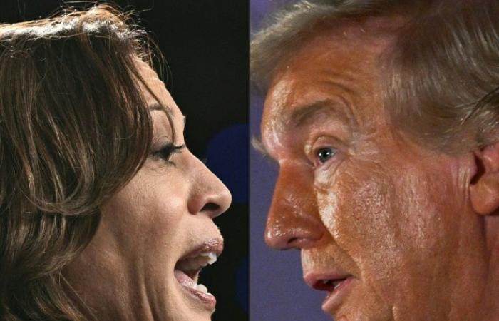 Harris and Trump advance towards the final sprint of their campaigns