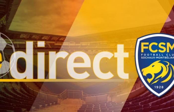 Direct. FC Sochaux faces leader Concarneau in Bonal, follow the meeting with us