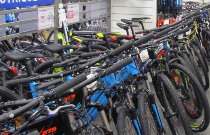 the Intersport brand offers bikes to two colleges