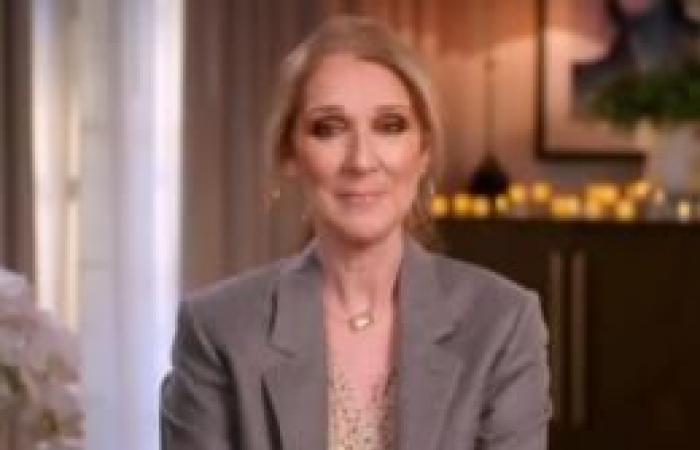 Celine Dion soon back in stores? The diva is reportedly working on a new project that should please her French fans