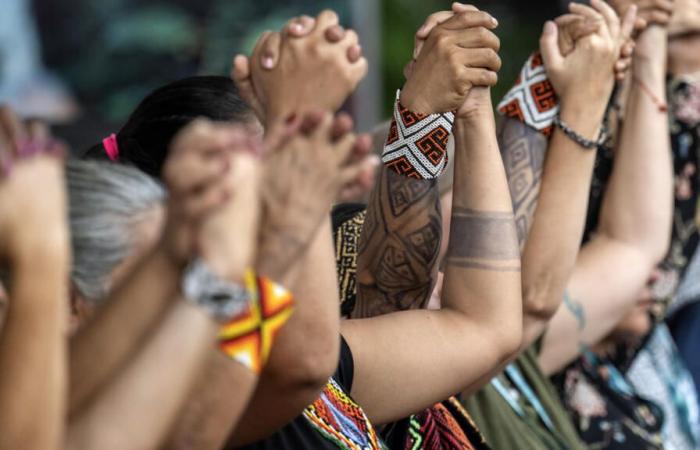 Last day of COP16 biodiversity against a backdrop of North-South financial tensions