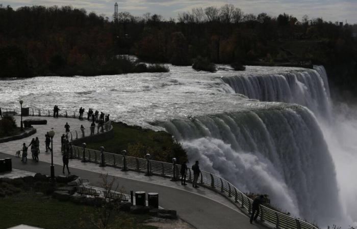 Woman jumps into Niagara Falls with her two children