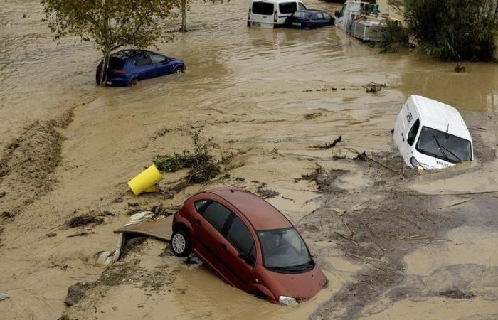 Floods in Spain: “We've been trying to survive for two days” laments one of the residents of the Valencia region who accuses the regional government “of having minimized the alerts”