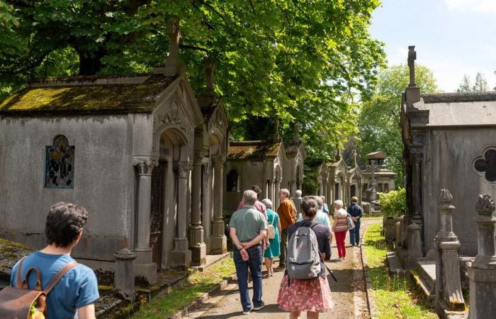 top 3 cemeteries in which it is good to stroll in Hauts-de-France