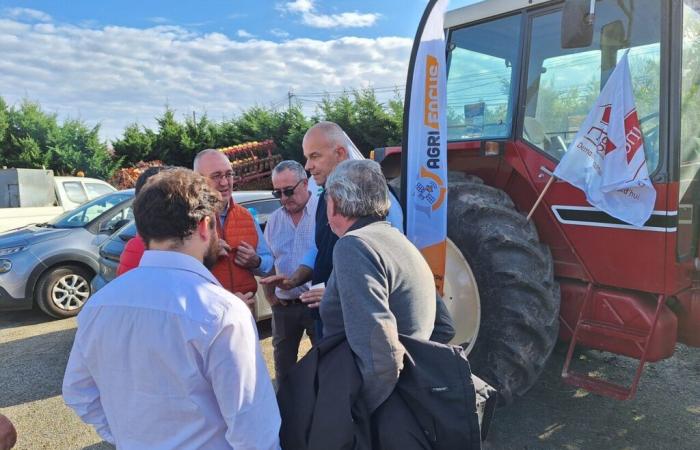 Near Toulouse, the head of the FNSEA calls on farmers to mobilize: here is the date