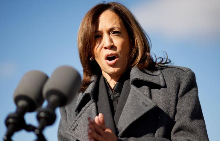 Harris and Trump in verbal escalation for key states