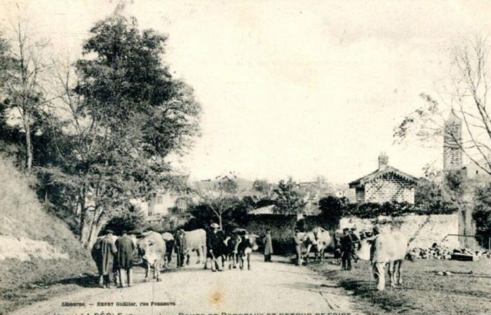 Dive into the origins of one of the biggest fairs in Gironde