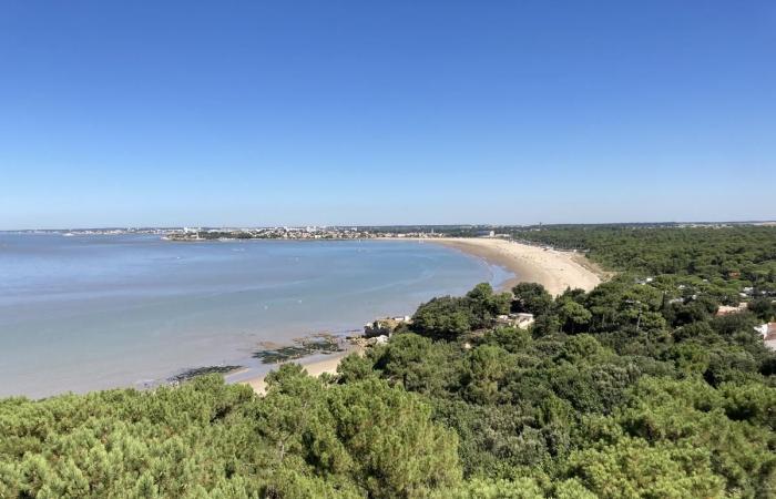 our ideas for family outings in Charente-Maritime