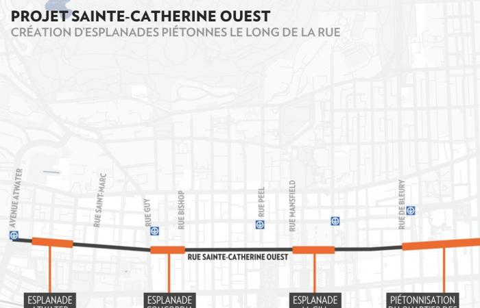 Sainte-Catherine West | The pedestrianization of discord