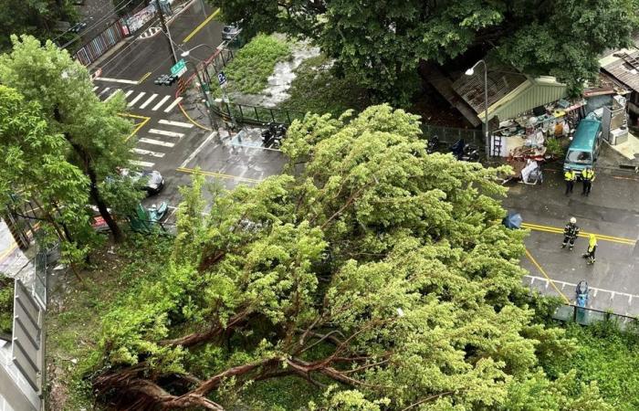 Taiwan | Typhoon Kong-rey kills two, injures more than 500