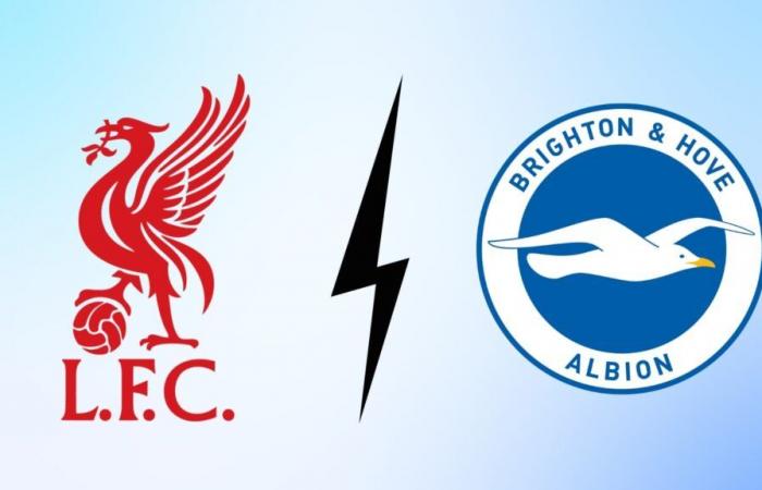 Brighton: at what time and on which channel to watch the Premier League match live?