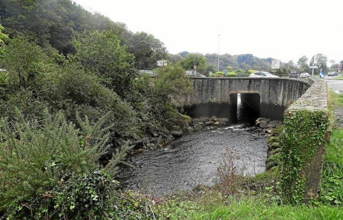 After pollution in Plouvien, the prefect of Finistère gives Sill one month to comply