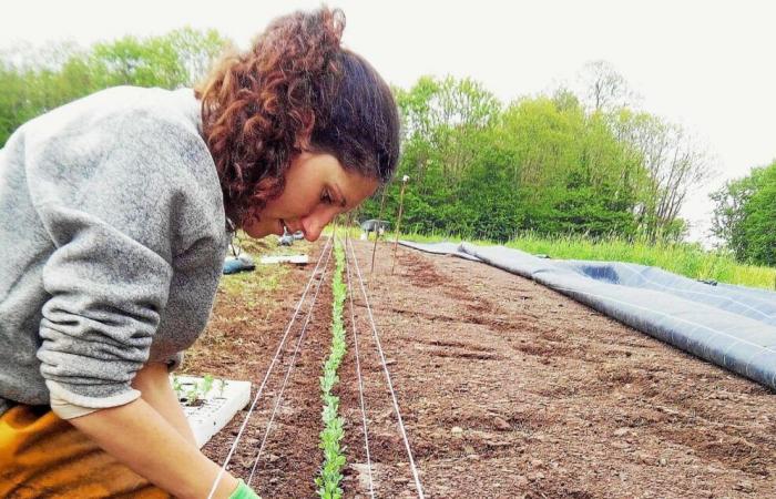 “The unfair price of our food”: an investigation presented this Wednesday at Run Ar Puñs, in Châteaulin