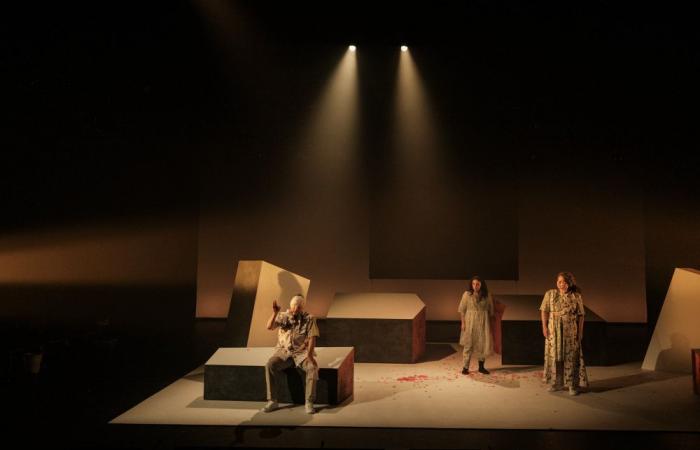 “Fires” at the Théâtre Duceppe | After silence, forgiveness | Cultural Thread atuvu.ca – Theater