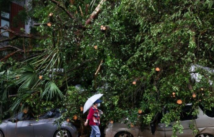 Taiwan: two dead and more than 500 injured after the passage of Typhoon Kong-rey: News