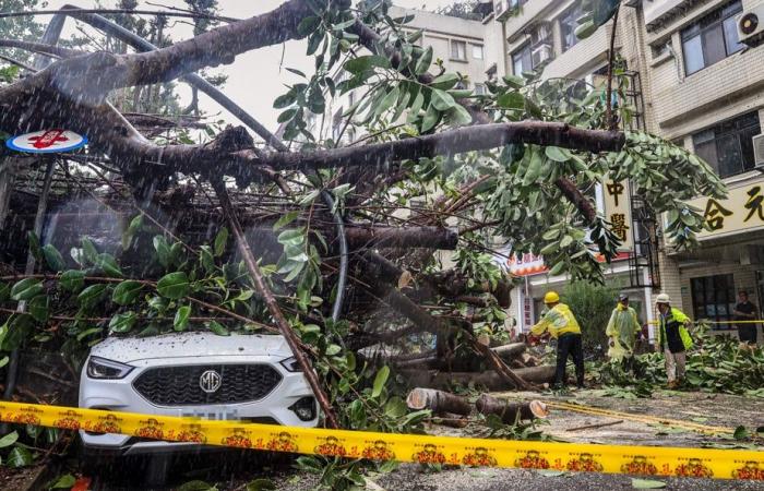 Taiwan | Typhoon Kong-rey kills two, injures more than 500