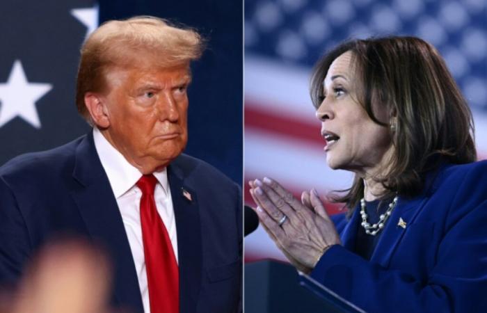 Harris and Trump in verbal escalation to wrest key states – 02/11/2024 at 00:52