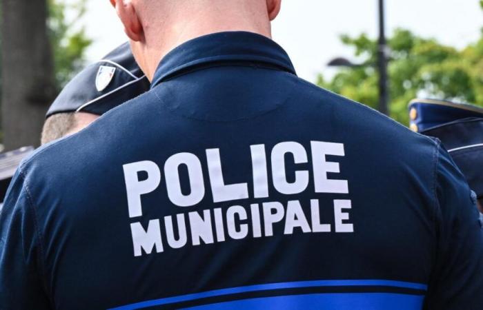 France: five people seriously injured in a shooting involving several hundred people