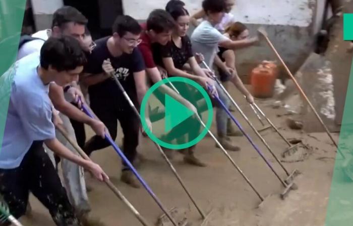 thousands of volunteers from the Valencia region come to help spontaneously