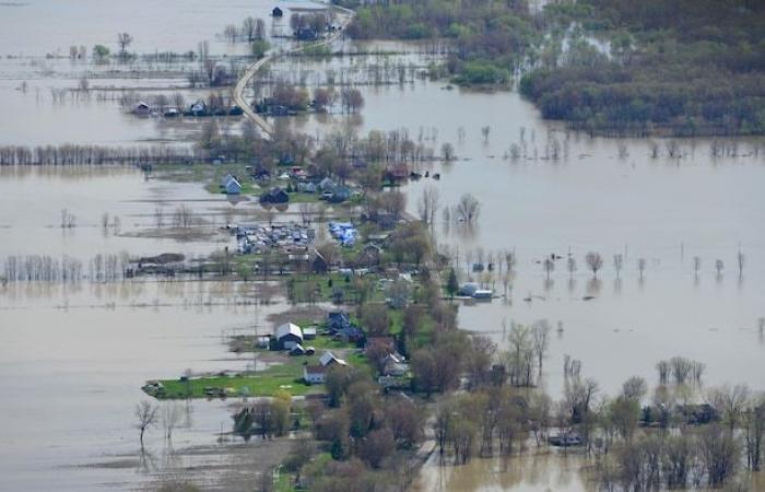 Flood zones: citizens left to their own devices, thunder mayors