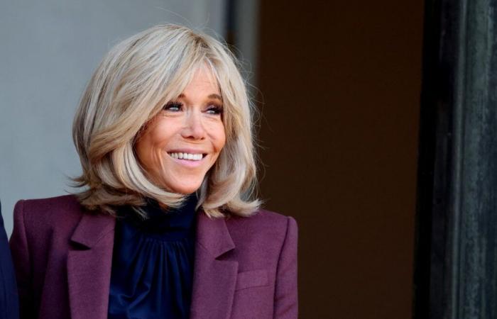 Villa with swimming pool, war between neighbors… Embarrassed Brigitte Macron, her nephew is the talk of the town