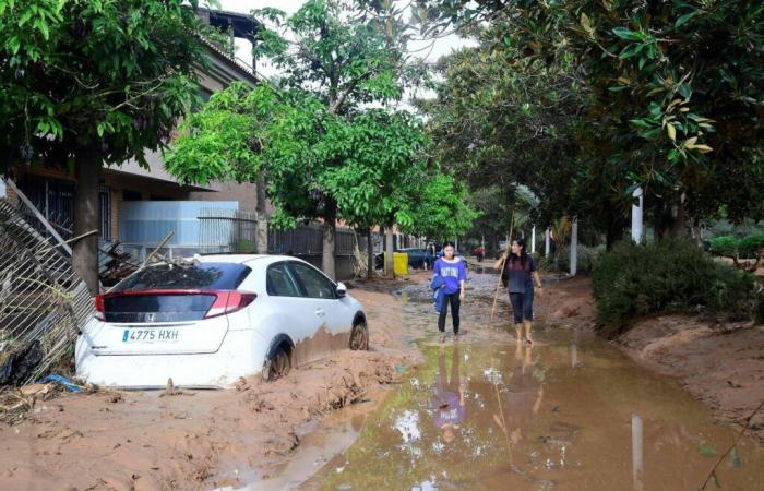 Floods in Spain: “If such a storm occurs in Nice or Cannes, the number of deaths will be even higher,” warns agro-climatologist Serge Zaka