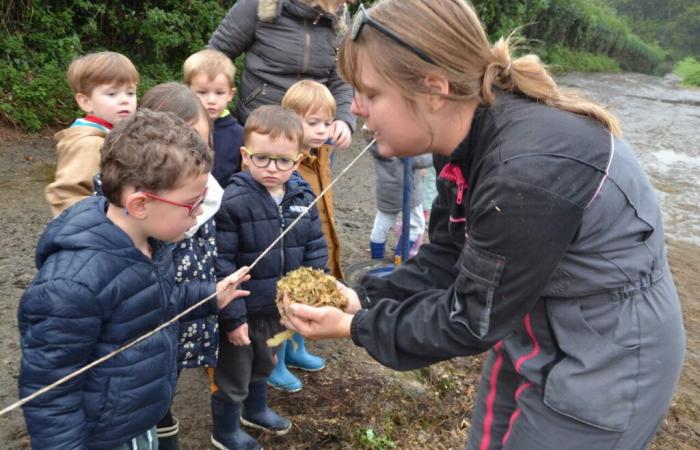 Thanks to Finistère replacement, children visit a farm