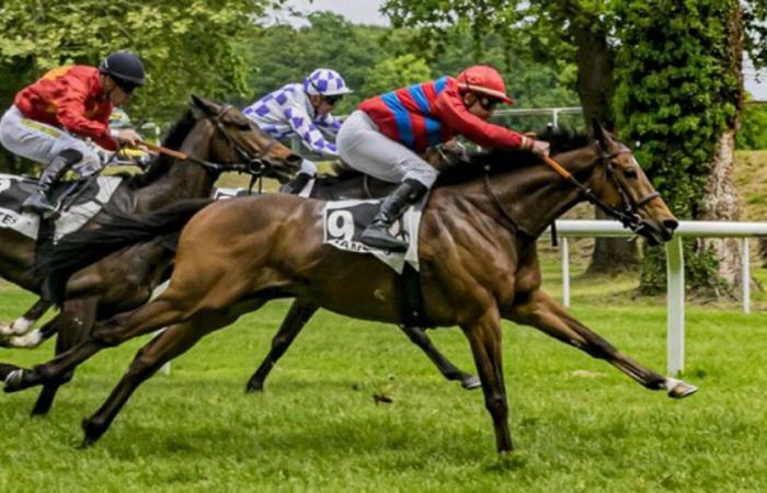 The Nantes Grand Prix meeting, a must for the racing autumn, to follow on Facebook Live from 11:40 a.m.