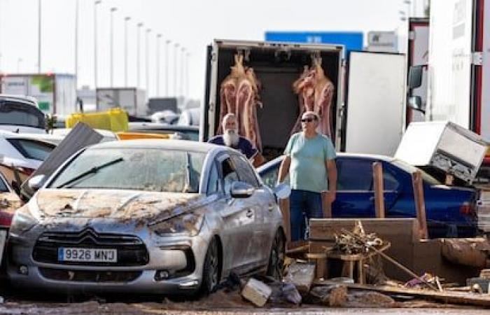 A dawn of looting, floating cars and 12 dehydrated horses in the Alfafar commercial estate | Spain