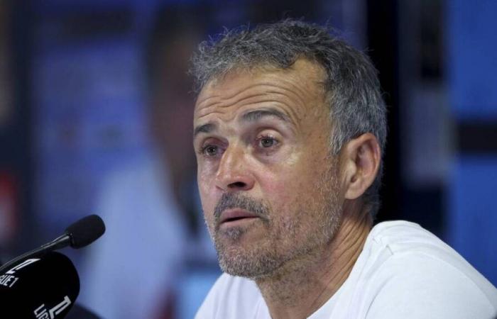 PSG. “I feel more comfortable this season,” confides Luis Enrique before the match against Lens