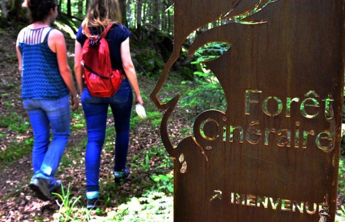 “We had to be patient”: Why was the first cinerary forest in France suspended for 4 years, in the south of Haute-Garonne?