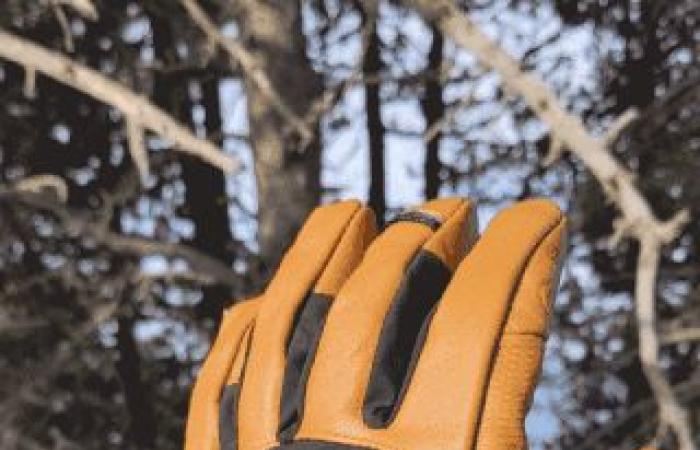 Test and review of the MT900 Forclaz leather gloves — ridepark