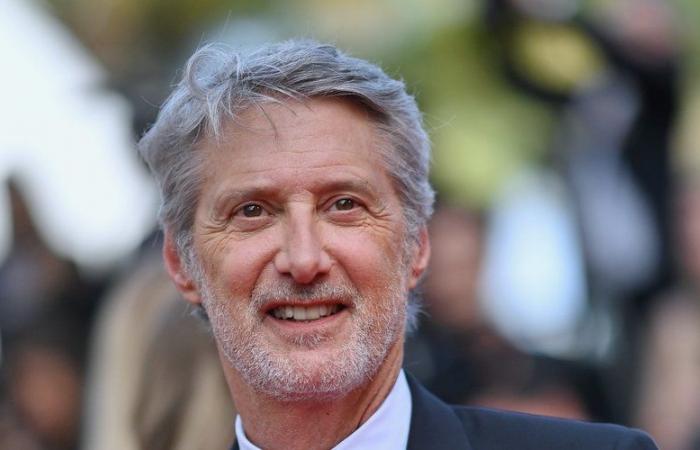 INTERVIEW. “After the live, we laughed, we danced”: Antoine de Caunes tells behind the scenes of the eventful history of Canal+