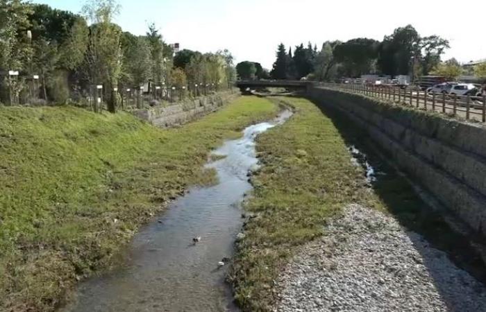 Is France ready in the event of floods like in Spain? The examples of Cannes and Mandelieu-la-Napoule