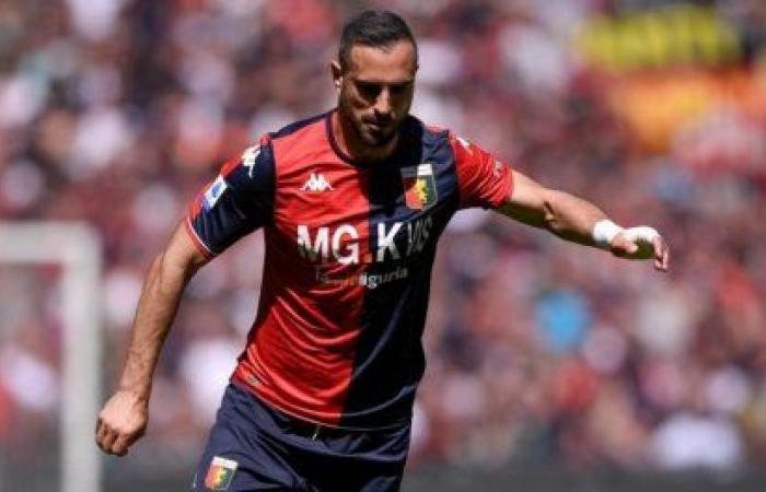 Maksimovic, the defensive hope to emerge from the crisis