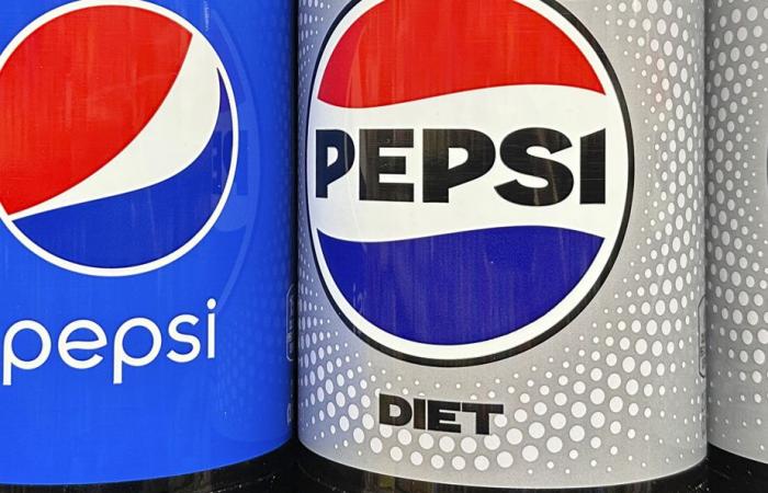 Plastic pollution | New York State’s appeal against PepsiCo dismissed