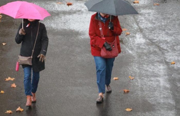 40% more rain, high temperature and lack of sunshine: October weather far from average in France