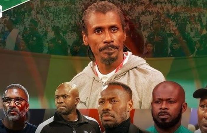 Next Coach of Senegal, the Minister of Sports awaits a “proposal from the FSF” on the ideal profile