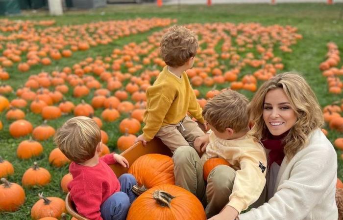 Richard Gere and wife Alejandra’s enormous Connecticut ranch they’re leaving behind