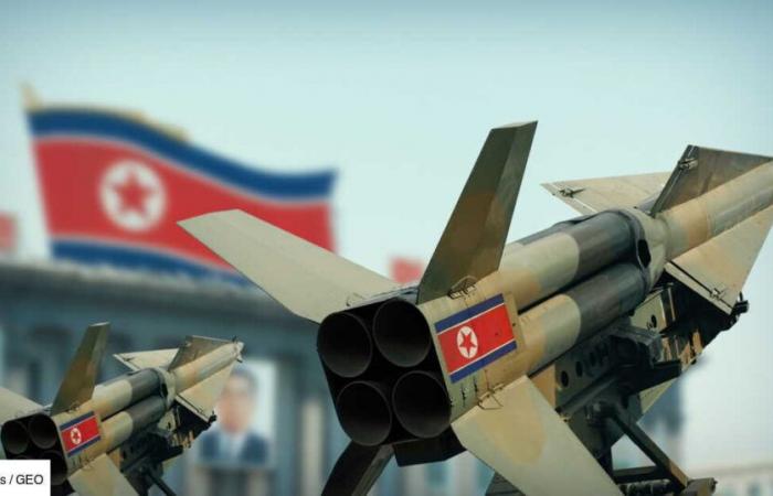 North Korea: unconditional support for Russia for a “victory” in Ukraine, declares the minister