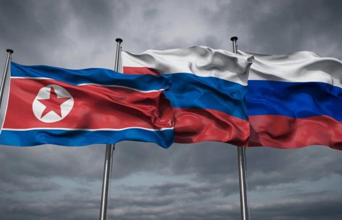 North Korea Officializes Its Military Support for Russia